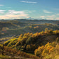 Monchiero Carbone wine yards - Tita Italian
