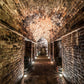 sordo winery cellar - Tita Italian