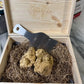 white truffle basket with a truffle slicer