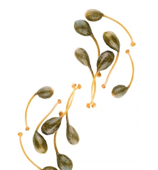 Italian Capers Berries in Vinegar 1 lb 2.7 oz (530g) - Tita Italia
