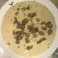 Instant Polenta with White Truffle 14.1 oz (400g) - Tita Italia