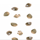 mignon capers in salt - Tita Italian