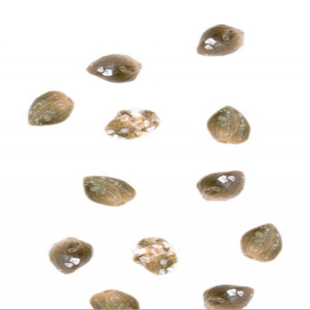 mignon capers in salt - Tita Italian
