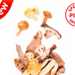 Mushrooms Mix Special Pizza 1 lb 12.2 oz / 800 gr - Tita Italia