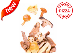 Mushrooms Mix Special Pizza 1 lb 12.2 oz / 800 gr - Tita Italia