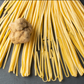 Tagliolini Egg Pasta with White Truffle 8.8 oz (250gr) - Tita Italia