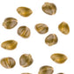 Lacrimella Capers in Vinegar 1 lb 2.8oz / 580g - Tita Italia
