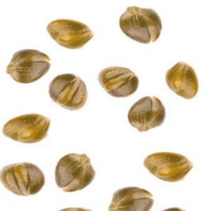 Lacrimella Capers in Vinegar 1 lb 2.8oz / 580g - Tita Italia