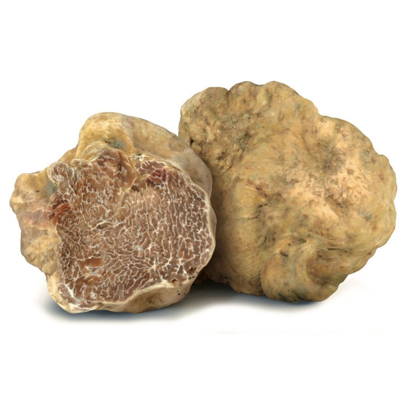 White Truffle & Mushroom Sauce 3.1 oz (90g) - Tita Italia