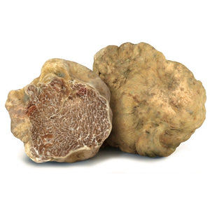 White Truffle & Mushroom Sauce 3.1 oz (90g) - Tita Italia