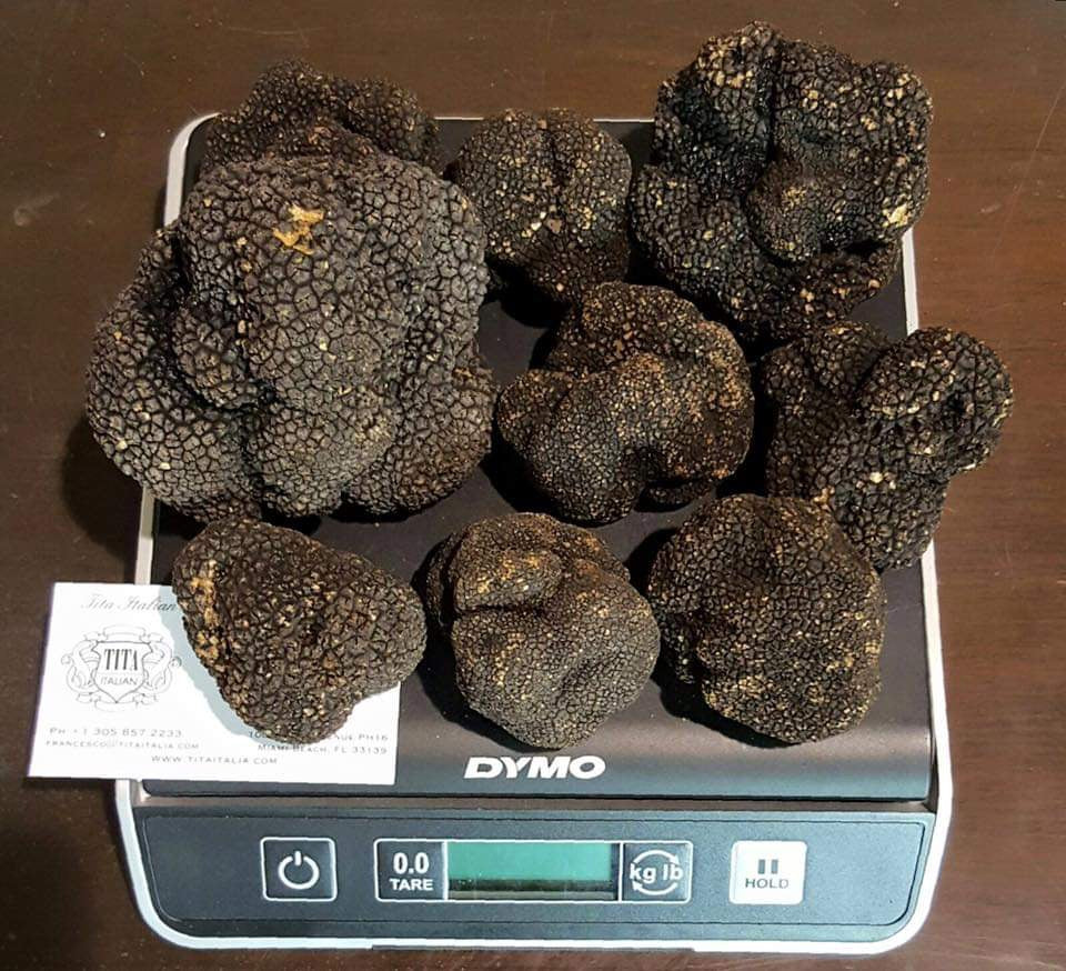 Fresh Italian Summer Truffles (Tuber aestivum vitt) - Tita Italia