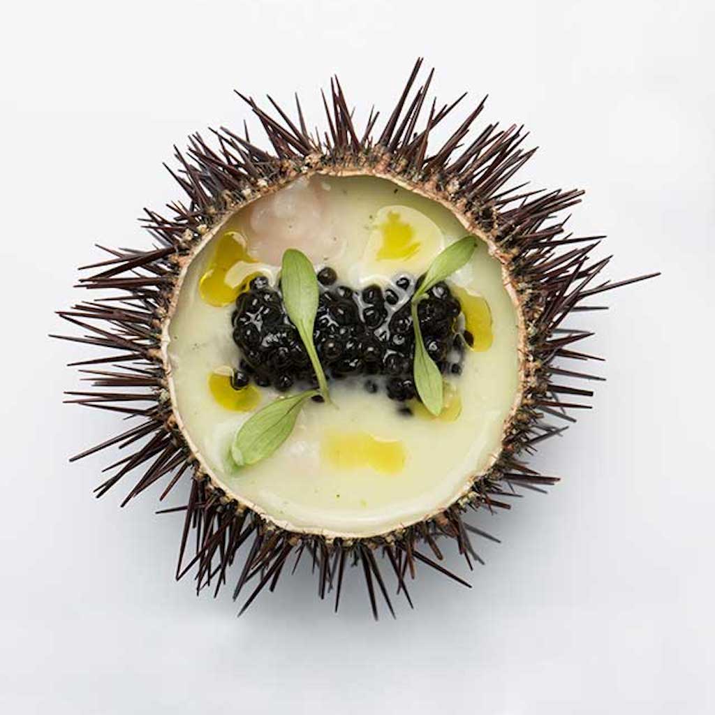 Caviar sea ​​urchin -Tita Italian