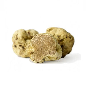 Fresh White Truffle (Tuber Magnatum Pico) Free Shipping - Tita Italia